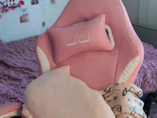 Tofumuch webcam