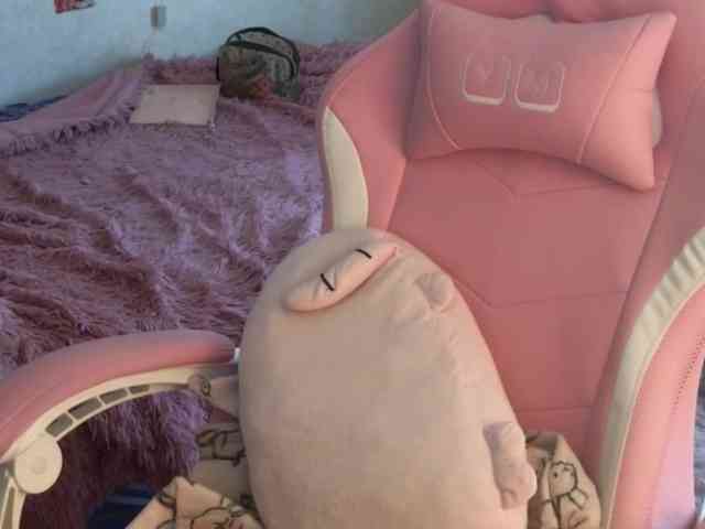Tofumuch webcam
