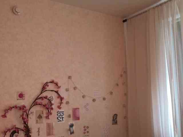 Tofumuch webcam