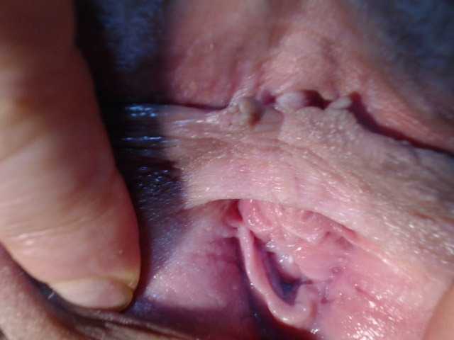 kendalthailor