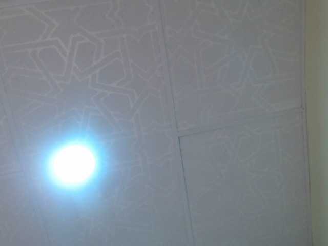 kendalthailor webcam