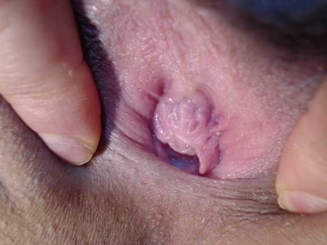 kendalthailor