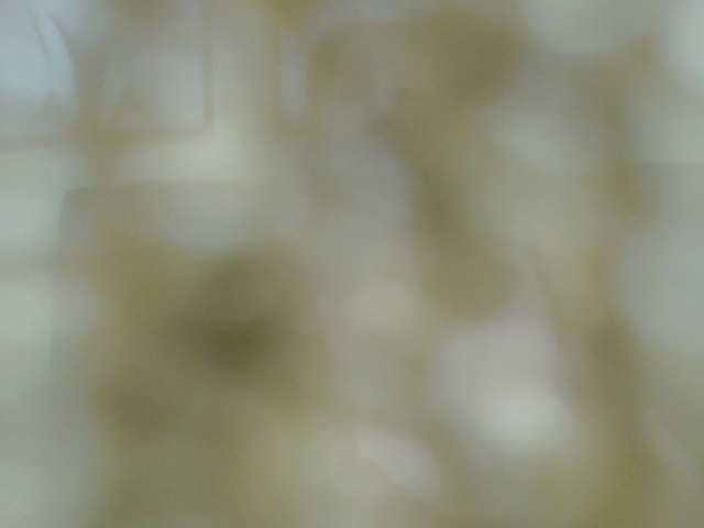 kendalthailor