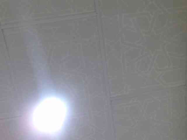 kendalthailor webcam