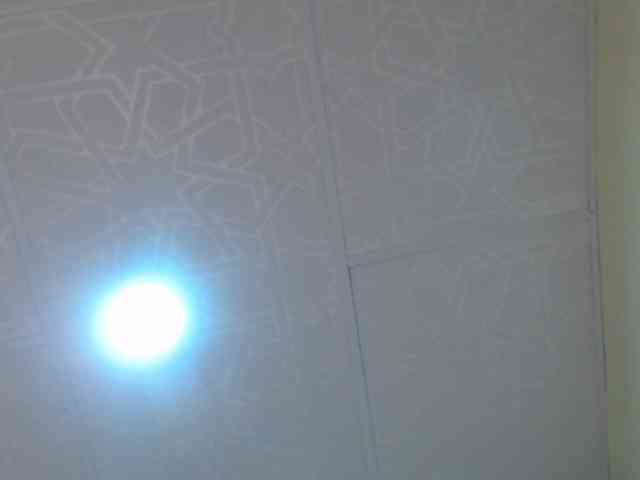 kendalthailor webcam