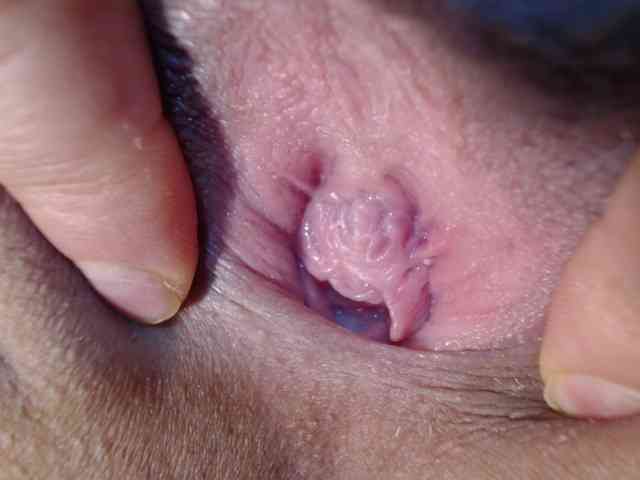 kendalthailor