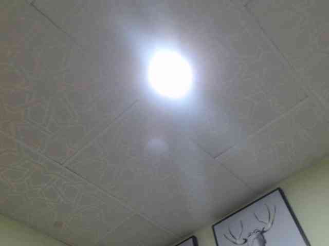 kendalthailor webcam