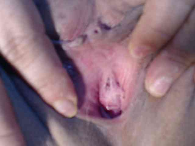 kendalthailor