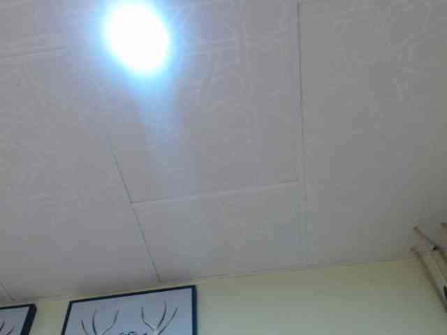 kendalthailor webcam