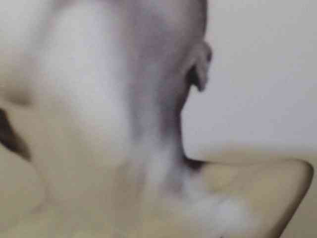 kendalthailor webcam