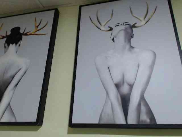 kendalthailor webcam