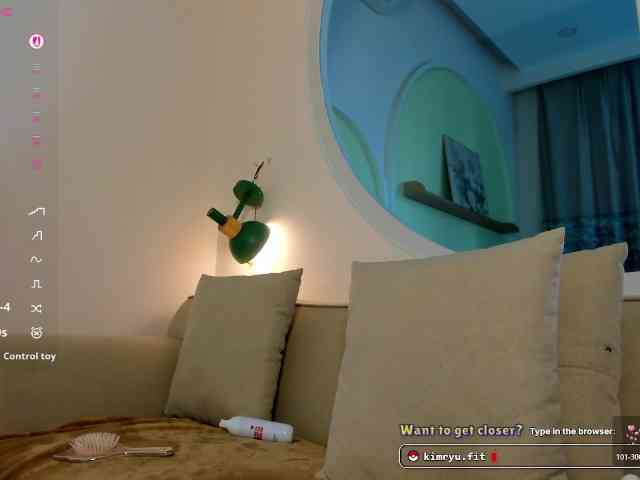 Kimryuu webcam
