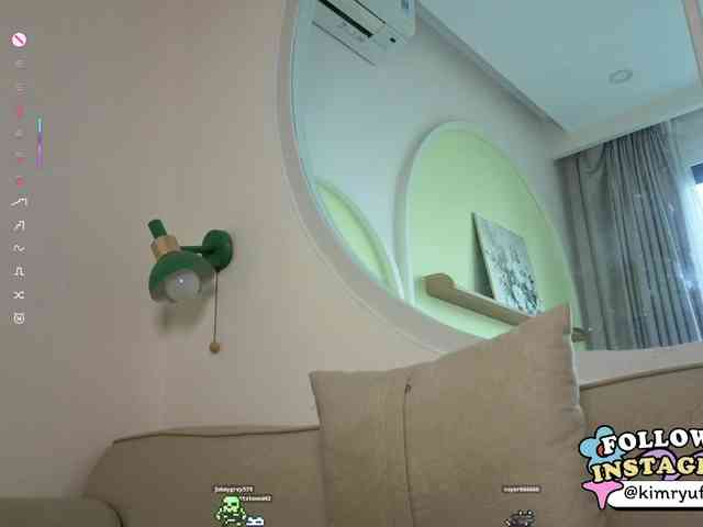 Kimryuu webcam
