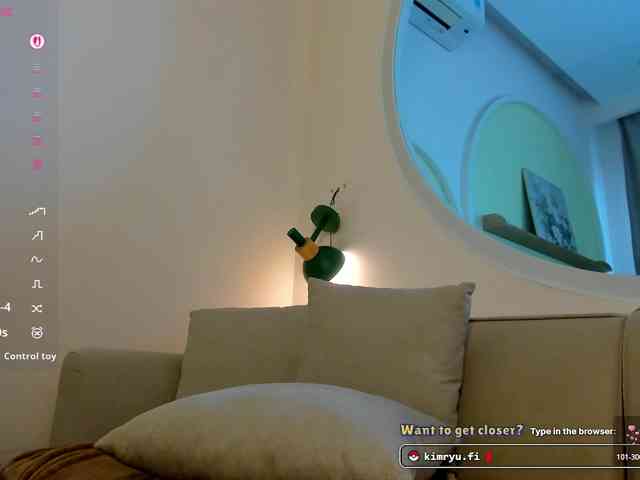 Kimryuu webcam