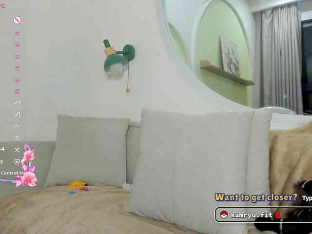 Kimryuu webcam