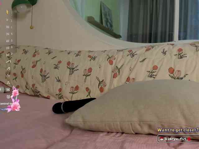 Kimryuu webcam