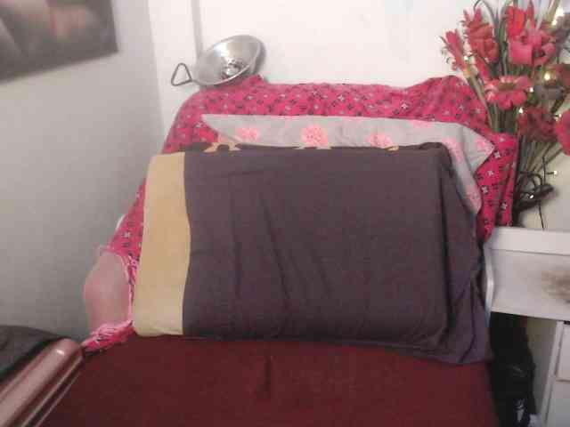 Transagera Live Webcam on BongaCams