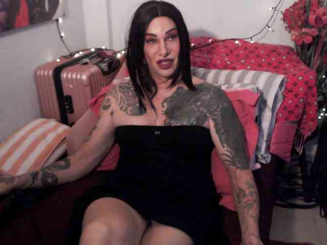 Transagera's cam show statistics and live stream