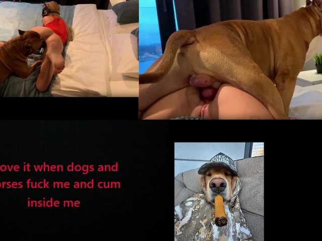 ShandraVanderwege live webcam show