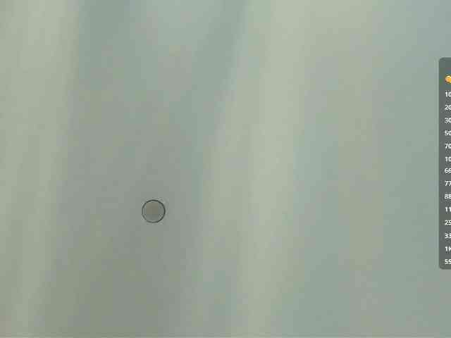 ShandraVanderwege webcam