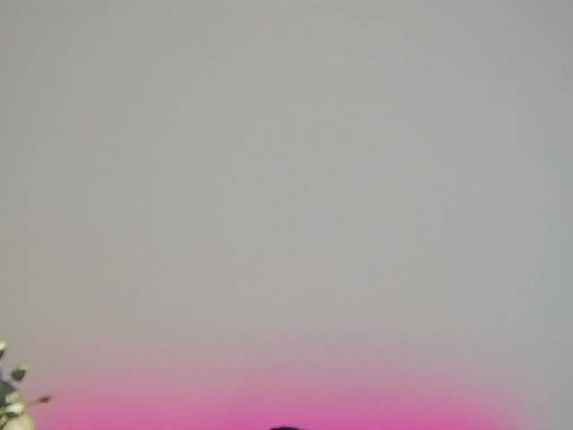 CrystalRed live cam on BongaCams