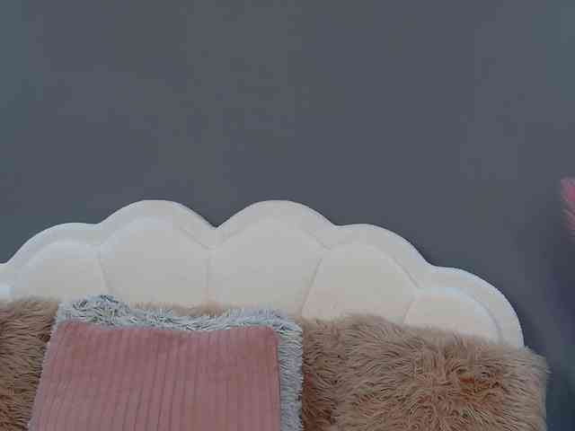 CrystalRed webcam