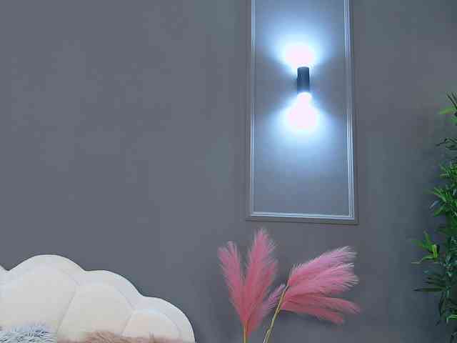 CrystalRed webcam