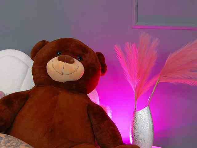 CrystalRed webcam
