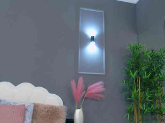 CrystalRed webcam