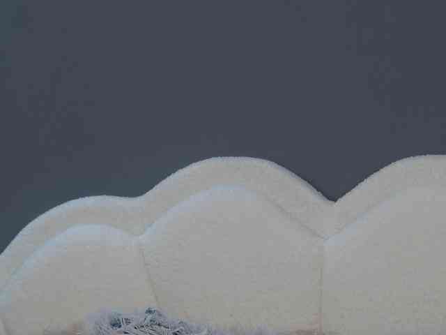 CrystalRed webcam