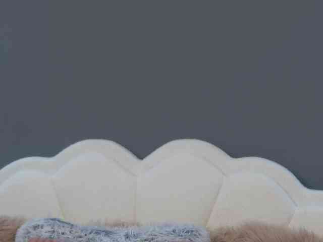 CrystalRed webcam