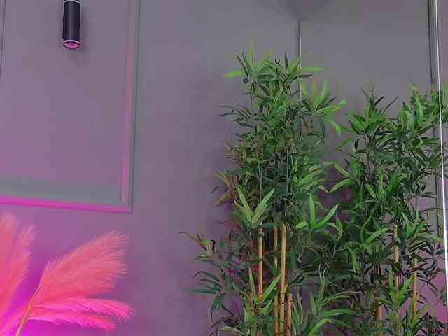 CrystalRed webcam