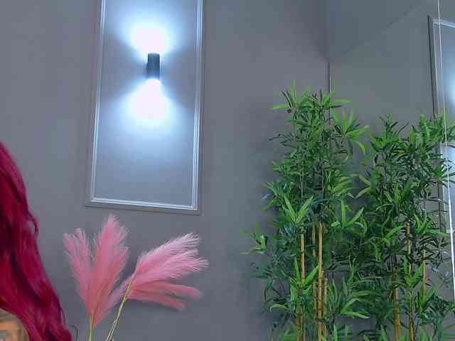CrystalRed webcam
