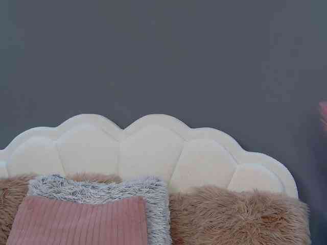 CrystalRed webcam