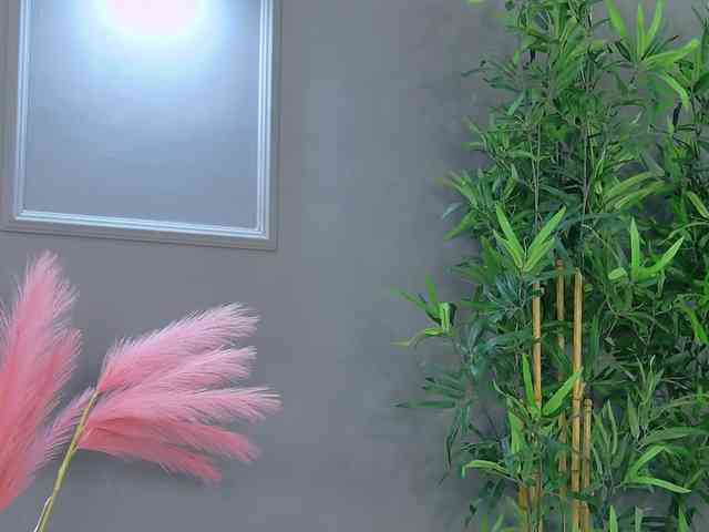 CrystalRed webcam