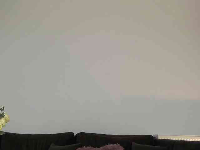 CrystalRed webcam