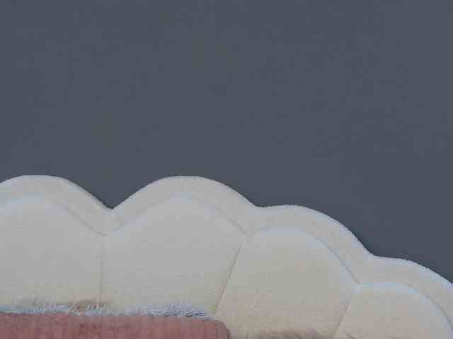 CrystalRed webcam