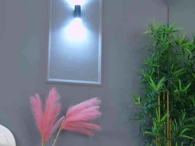 CrystalRed webcam