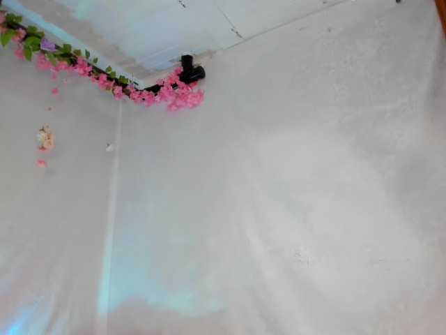 Yelina live cam on BongaCams