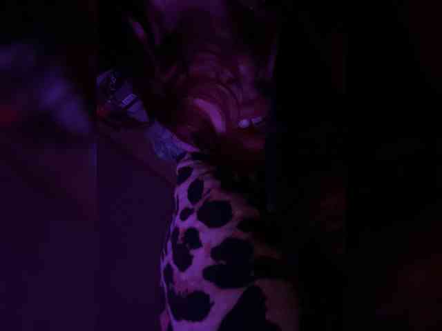 Anabell31