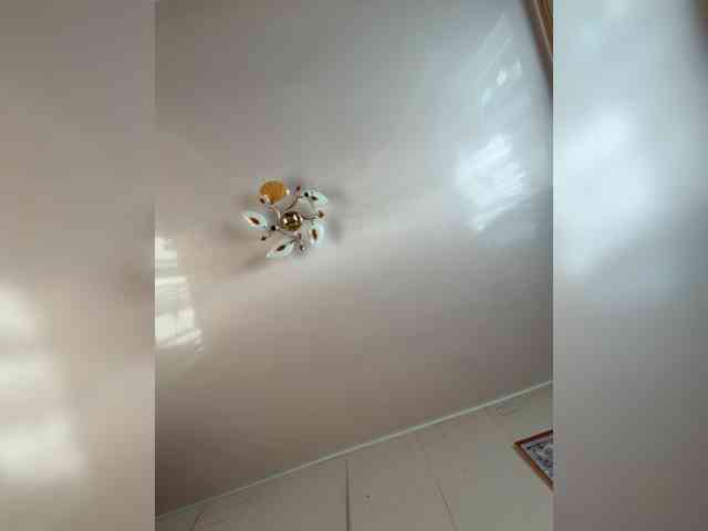 MilfaSguirt webcam