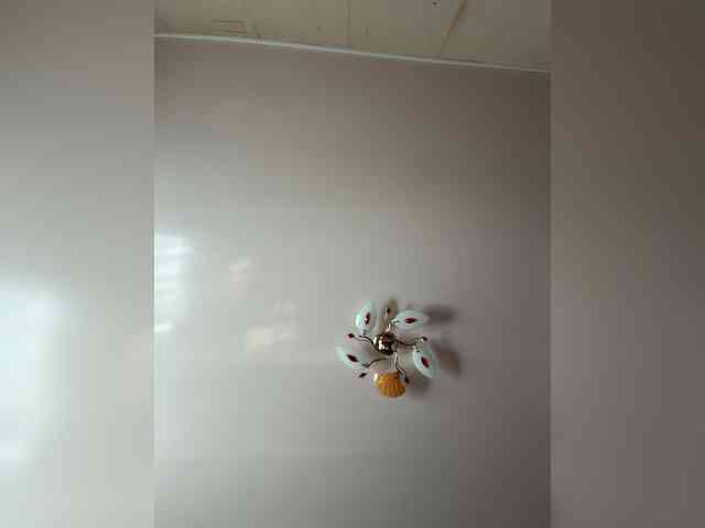 MilfaSguirt webcam