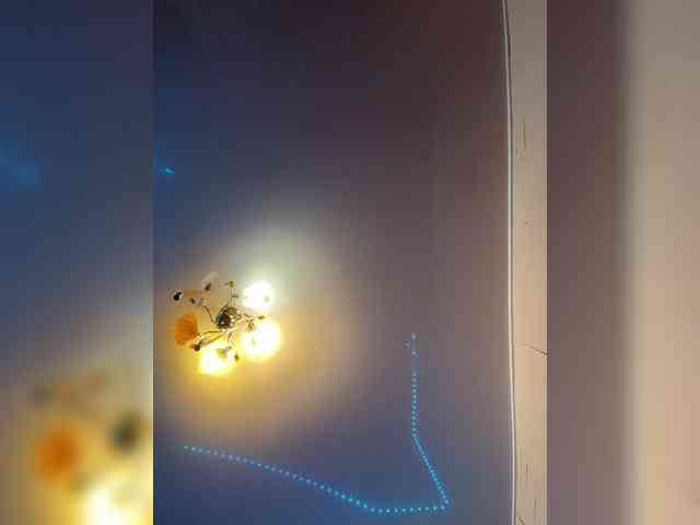 MilfaSguirt webcam