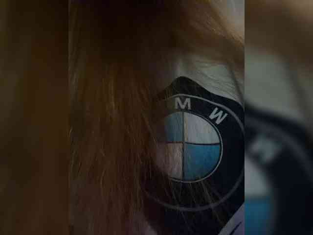 MilfaSguirt webcam
