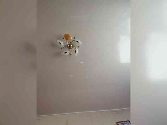 MilfaSguirt webcam