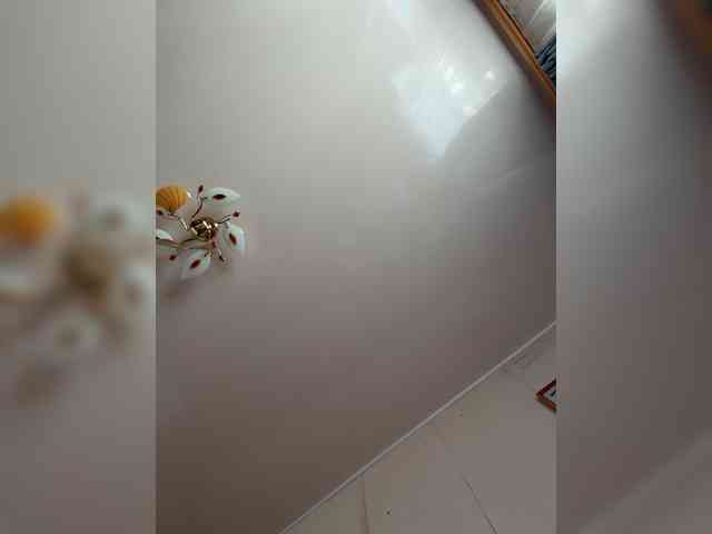 MilfaSguirt webcam