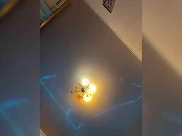 MilfaSguirt webcam