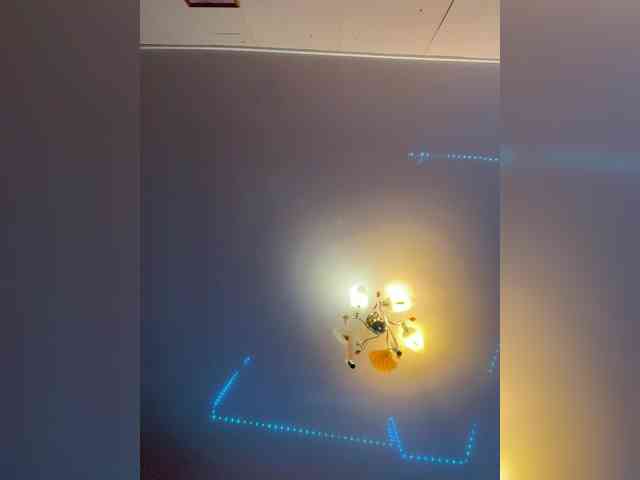 MilfaSguirt webcam