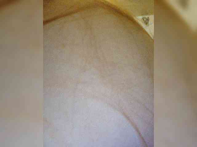 MilfaSguirt webcam