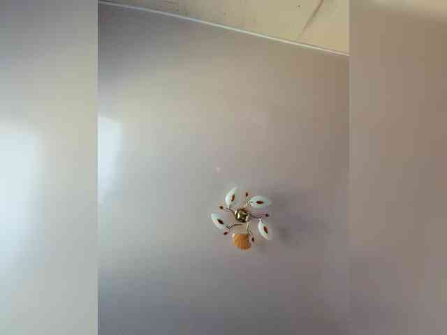 MilfaSguirt webcam